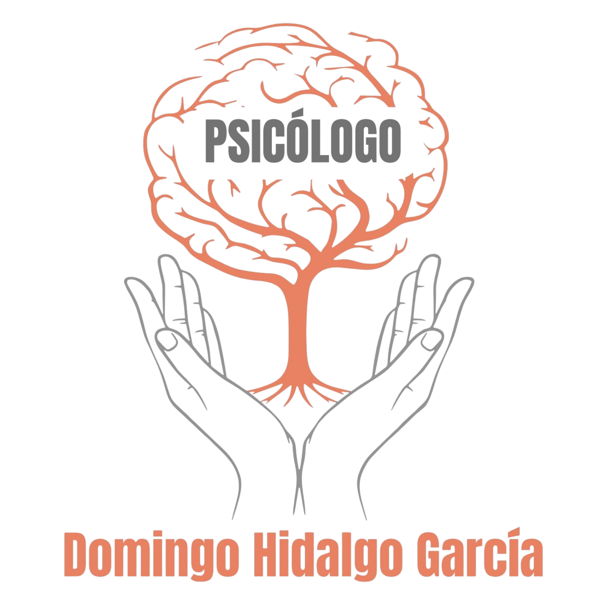 Logo Domingo Hidalgo